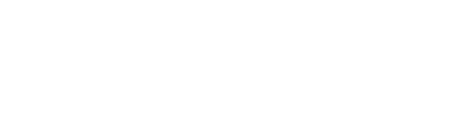 Logo ProCognita white